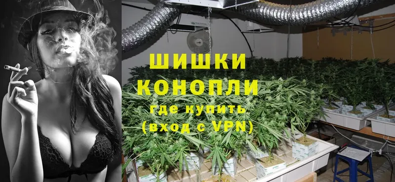 Марихуана White Widow  Вихоревка 